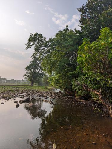 المنطقة المحيطة, Milu Homes in Tholpetty