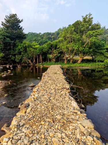 المنطقة المحيطة, Milu Homes in Tholpetty