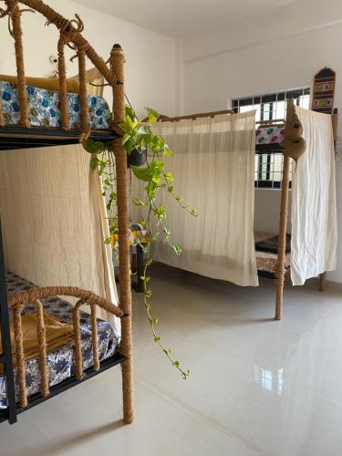 Shiva Retreats Stay with Yoga Retreats & all Foods Included at Yoga Ashram, Arambol Goa