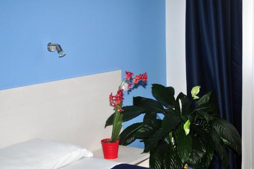Hotel La Punta - image 10