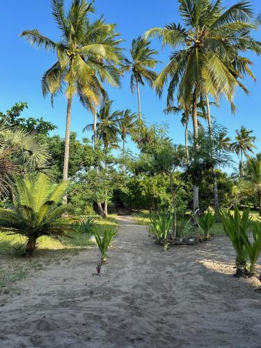Ushongo Beach Cottages in Pangani