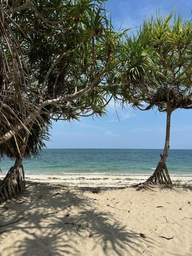 Ushongo Beach Cottages in Pangani