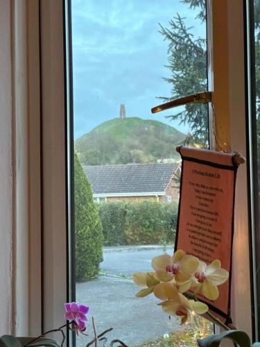 View, Camelot Retreat in Glastonbury