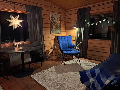 Blue Moment at the Arctic Circle- Forest, beach, activities in Meltosjarvi