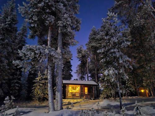 Blue Moment at the Arctic Circle- Forest, beach, activities in Meltosjarvi