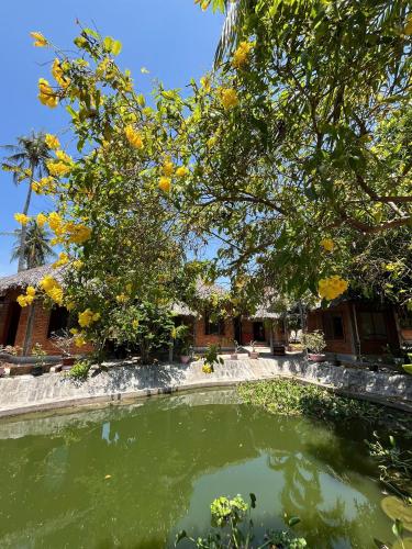 The Little Garden Homestay - 주변 환경