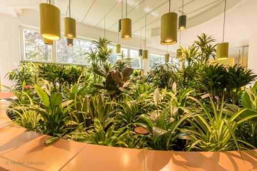 Sauna, Romantik Hotel Namenlos in Ahrenshoop