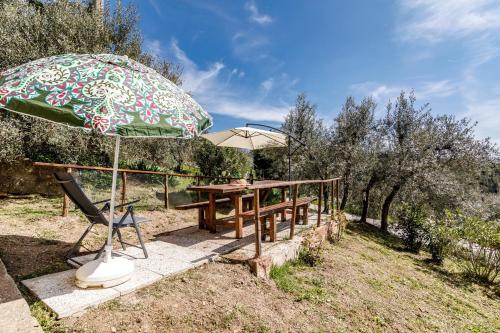 GuestHost - L'Angolo di Brolio, Gaiole in Chianti (foto 6)