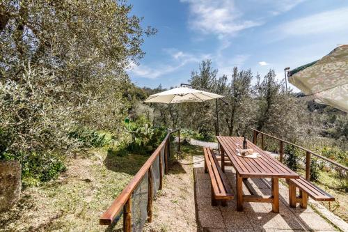 GuestHost - L'Angolo di Brolio, Gaiole in Chianti (foto 8)