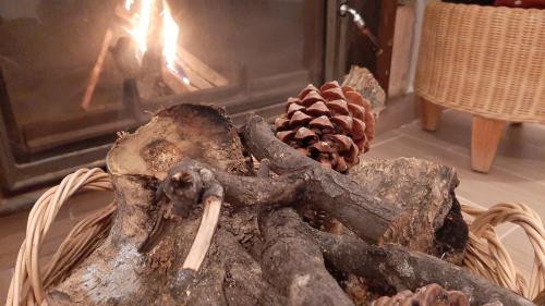 El pájaro tricolor casa spa gîte à louer Mohernando