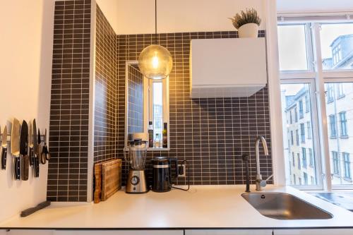 Central Copenhagen Apartment, Kodaň (fotografie 9)