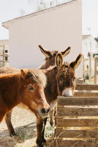673022640 Finca La Bobadilla - The Leading Hotels of the World