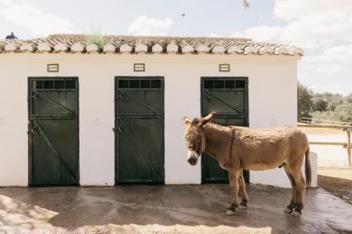 673022642 Finca La Bobadilla - The Leading Hotels of the World