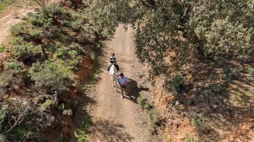 673022693 Finca La Bobadilla - The Leading Hotels of the World