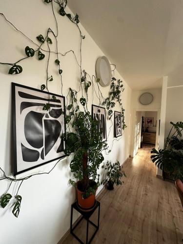 Iekārtas, Como's Hill Apartments Giungla in Lipomo