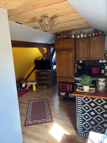 Šumava apartmán U Kočiček (Sumava apartman U Kocicek) in Nová Ves