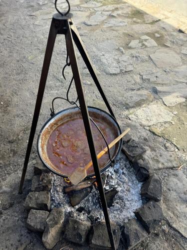 PGL in bucataria mamei- cazare la tara in Schaas