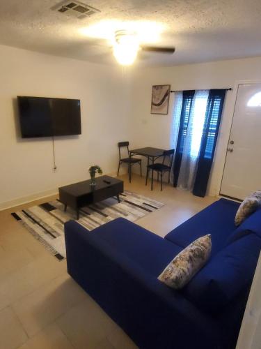 Cozy, unique & Private apartment in Spring near IAH, Spring (zdjęcie 8)