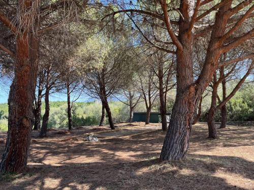 Kert, SAINT FLORENT - Studio 3 pers balcon vue mer FLO127 in Saint-Florent