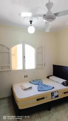 السلام والمحبة السلام والمحبة