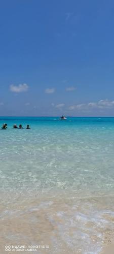 السلام والمحبة السلام والمحبة