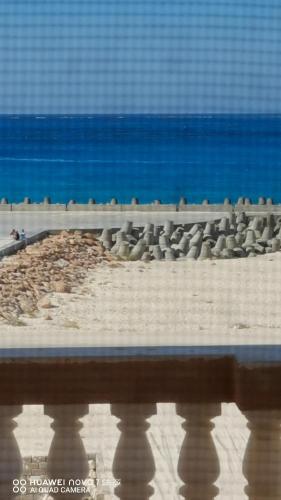 السلام والمحبة السلام والمحبة