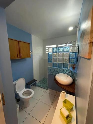 Studio charmant avec piscine à Vieux-Habitants 26 m² - image 6