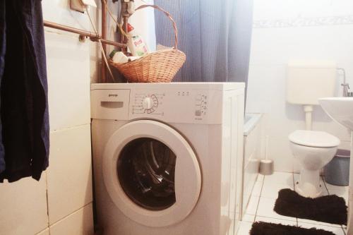 One-Bedroom Apartment image 10