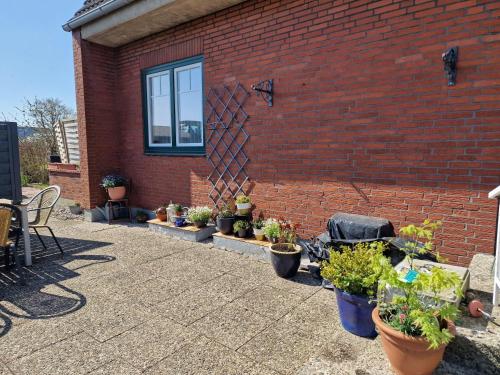 Haus-Fehmarn-am-Dorfteich-|-Wohnung-2-West in Albertsdorf