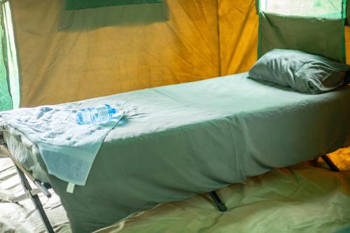 Se xaxa Camp in Maun