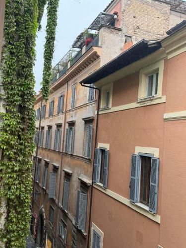 Navona Fox House 1, Roma (foto 8)