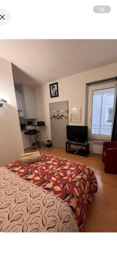 Appartement studio au cœur de Strasbourg, Straßburg (Foto 8)