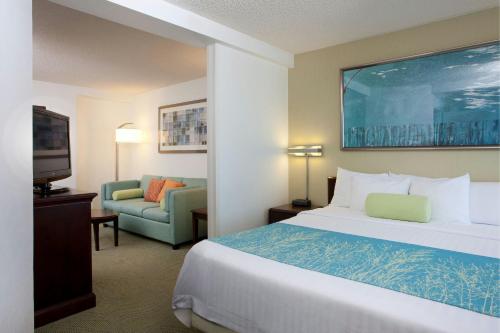 King Suite with Sofa Bed - Pure Allergy-Friendly