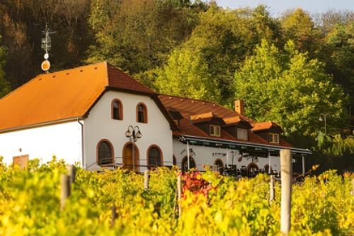 . Hotel a vinařství Sádek