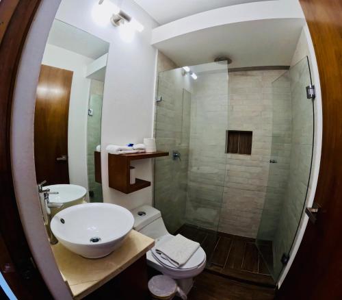 Studios with roofpool in Vanessa 24 Room Type - Standard Triple Studio