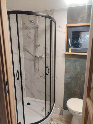 Domek pod Brzozami in Pszczolki