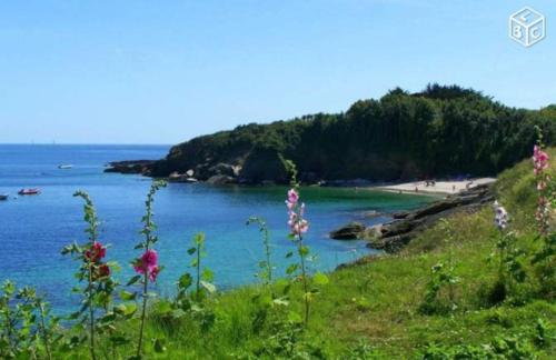 La Breizh'îlienne - Location saisonnière - Groix