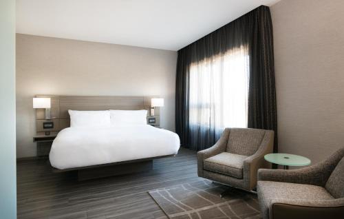 One-Bedroom King Suite