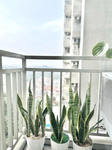 Studio Lavender Galeri Ciumbuleuit 2 Studio Lavender Galeri Ciumbuleuit 2