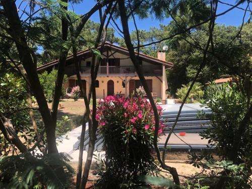 Résidence La Grande Combe - 009 - Magnifique villa avec piscine dans quartier résidentiel MAE-4501 - Location, gîte - Soulac-sur-Mer