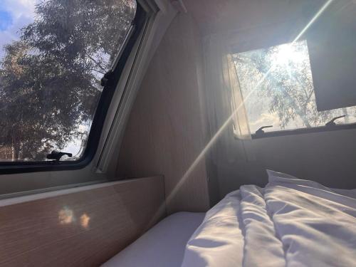 Golan on the Move in Eliad