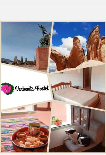 Hostel VERBENITA