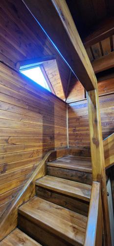 Superior Villa image 7