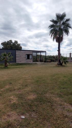 Cabañas Las Palmeras RN7