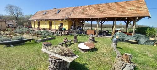 Tanya 360° in Lajosmizse