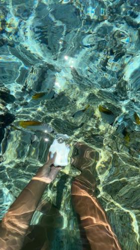 Honotua Lodge near Maupiti Airport