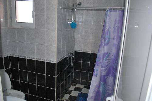 Apartments Stevanović - image 7