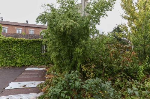 Cozy 60 m on the outskirts of Paris in Gentilly