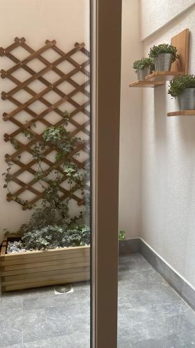 With love, Apartment 4, Palermo (foto 4)