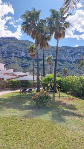 View, Casa Zen in Altomira